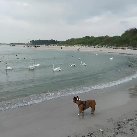 Blue Bay Apartment Darlowko