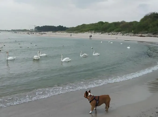 Blue Bay Daire Darlowko